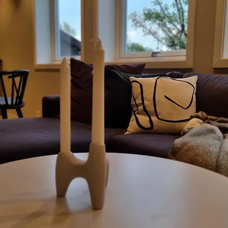 Nyoppusset Og Moderne Leilighet *