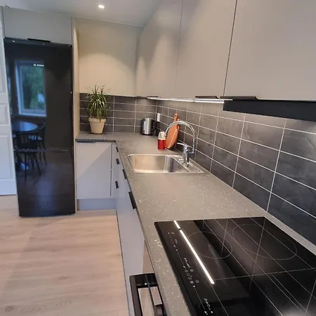 Nyoppusset Og Moderne *